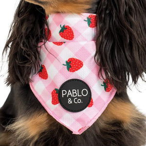 PABLO & CO STRAWBERRY FIELDS BANDANA