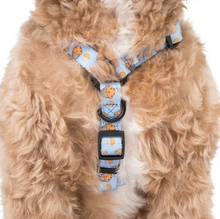 Load image into Gallery viewer, Pablo &amp; Co Stud Muffin Strap Harness
