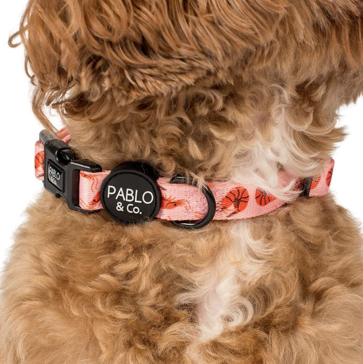 PABLO & CO SUMMER PRAWNS COLLAR