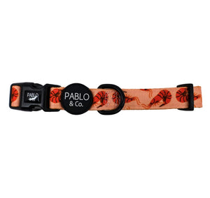 PABLO & CO SUMMER PRAWNS COLLAR