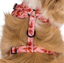 Load image into Gallery viewer, PABLO &amp; CO SUMMER PRAWNS ADJUSTABLE HARNESS
