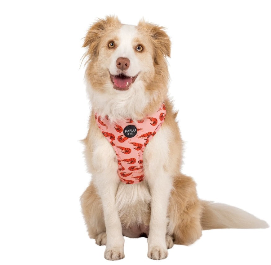 PABLO & CO SUMMER PRAWNS ADJUSTABLE HARNESS
