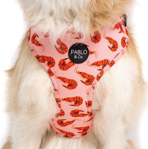 PABLO & CO SUMMER PRAWNS ADJUSTABLE HARNESS