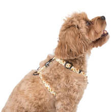 Load image into Gallery viewer, Pablo &amp; Co Sunflowers Strap Harness
