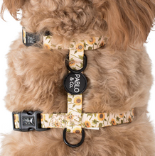 Load image into Gallery viewer, Pablo &amp; Co Sunflowers Strap Harness
