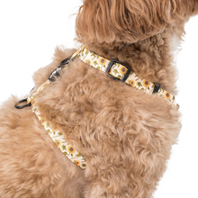 Load image into Gallery viewer, Pablo &amp; Co Sunflowers Strap Harness

