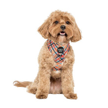 Load image into Gallery viewer, Pablo &amp; Co Tartan Adjustable Harness
