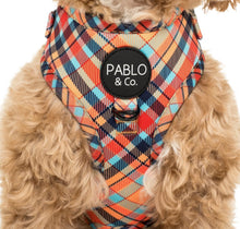 Load image into Gallery viewer, Pablo &amp; Co Tartan Adjustable Harness
