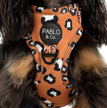 Load image into Gallery viewer, PABLO &amp; CO THAT LEOPARD PRINT ADJUSTABLE HARNESS
