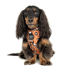 Load image into Gallery viewer, PABLO &amp; CO THAT LEOPARD PRINT ADJUSTABLE HARNESS
