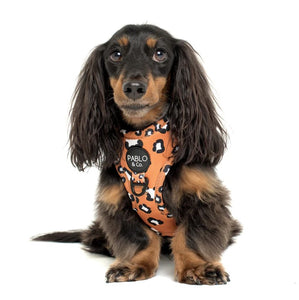 PABLO & CO THAT LEOPARD PRINT ADJUSTABLE HARNESS
