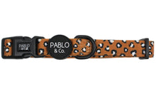 Load image into Gallery viewer, Pablo &amp; Co That Leopard Print Collar

