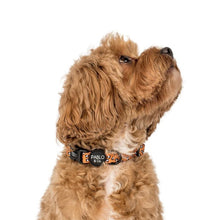 Load image into Gallery viewer, Pablo &amp; Co That Leopard Print Collar

