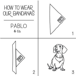 PABLO & CO THE FLORAL EDIT BANDANA