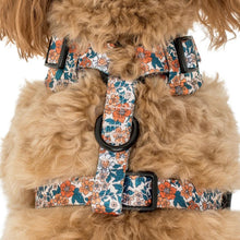 Load image into Gallery viewer, Pablo &amp; Co Wildflowers Adjustable Harness
