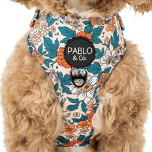 Load image into Gallery viewer, Pablo &amp; Co Wildflowers Adjustable Harness
