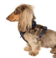 Load image into Gallery viewer, PABLO &amp; CO WILD LEOPARD ADJUSTABLE HARNESS
