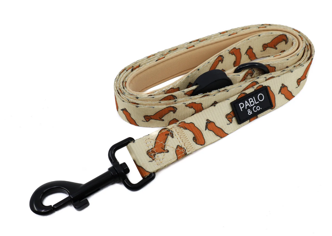 PABLO & CO SLEEPING SAUSAGE DOG LEASH