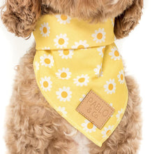 Load image into Gallery viewer, Pablo &amp; Co Yellow Daisy Bandana
