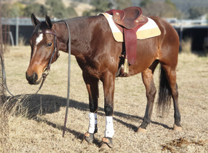 TOPRAIL EQUINE ELITE PERFORMANCE PAD