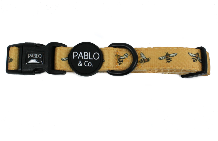PABLO & CO BUMBLEBEE COLLAR