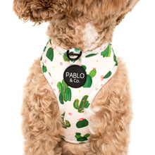 Load image into Gallery viewer, PABLO &amp; CO CACTUS ADJUSTABLE HARNESS

