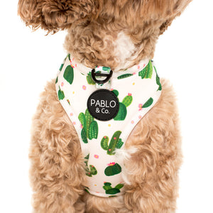 PABLO & CO CACTUS ADJUSTABLE HARNESS