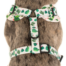 Load image into Gallery viewer, PABLO &amp; CO CACTUS ADJUSTABLE HARNESS
