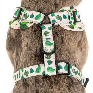 PABLO & CO CACTUS ADJUSTABLE HARNESS