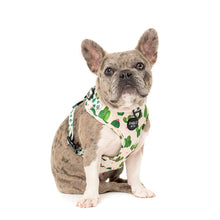 Load image into Gallery viewer, PABLO &amp; CO CACTUS ADJUSTABLE HARNESS
