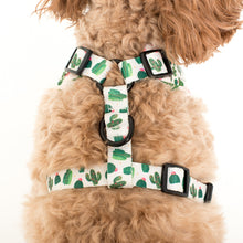 Load image into Gallery viewer, PABLO &amp; CO CACTUS ADJUSTABLE HARNESS
