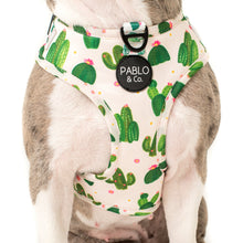 Load image into Gallery viewer, PABLO &amp; CO CACTUS ADJUSTABLE HARNESS
