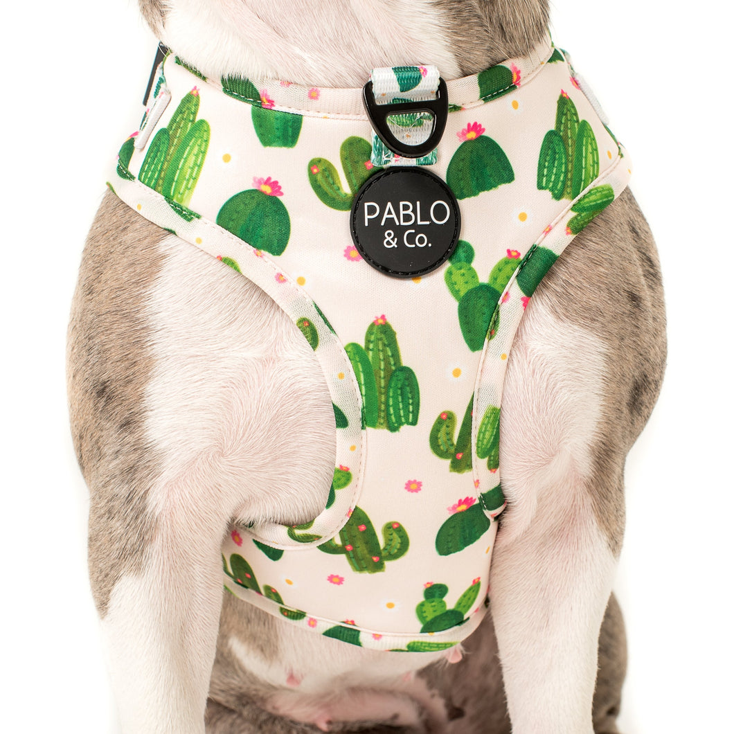 PABLO & CO CACTUS ADJUSTABLE HARNESS