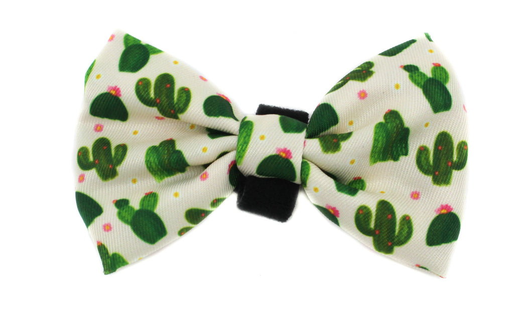 PABLO & CO CACTUS BOW TIE