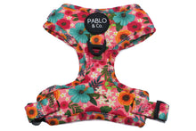 Load image into Gallery viewer, Pablo &amp; Co Floral Edit Adjustable Harness
