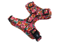 Load image into Gallery viewer, Pablo &amp; Co Floral Edit Adjustable Harness
