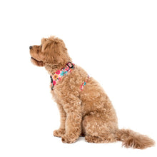 Load image into Gallery viewer, Pablo &amp; Co Floral Edit Adjustable Harness

