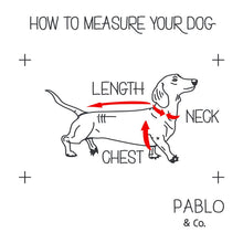 Load image into Gallery viewer, PABLO &amp; CO SUNFLOWER ADJUSTABLE HARNESS
