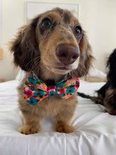 Load image into Gallery viewer, Pablo &amp; Co Floral Edit Bow Tie
