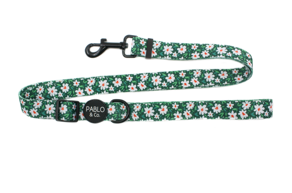 PABLO & CO ADJUSTABLE FLOWER GARDEN DOG LEASH