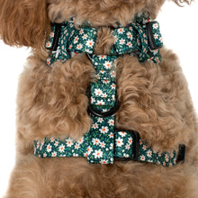 Load image into Gallery viewer, Pablo &amp; Co Flower Garden Adjustable Harness
