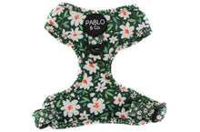 Load image into Gallery viewer, Pablo &amp; Co Flower Garden Adjustable Harness
