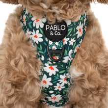 Load image into Gallery viewer, Pablo &amp; Co Flower Garden Adjustable Harness
