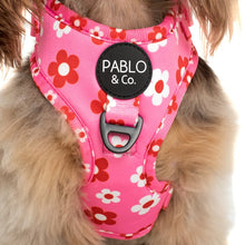 Load image into Gallery viewer, Pablo &amp; Co Flower Power Adjustable Harness
