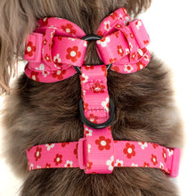Load image into Gallery viewer, Pablo &amp; Co Flower Power Adjustable Harness
