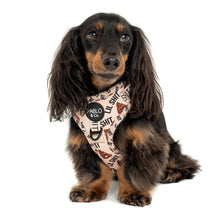 Load image into Gallery viewer, PABLO &amp; CO LIL SH*T ADJUSTABLE HARNESS
