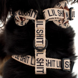 PABLO & CO LIL SH*T ADJUSTABLE HARNESS