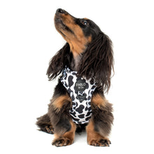 Load image into Gallery viewer, Pablo &amp; Co Moo Moo Adjustable Harness
