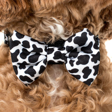 Load image into Gallery viewer, PABLO &amp; CO MOO MOO BOW TIE
