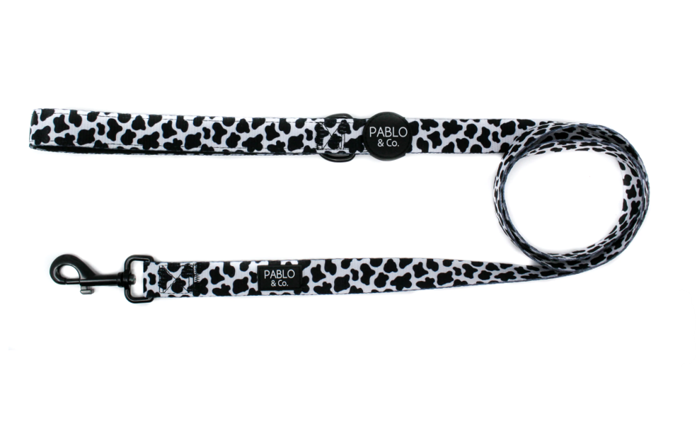 PABLO & CO MOO MOO DOG LEASH